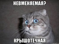 невменяемая? крышотечная