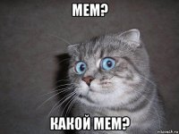 мем? какой мем?