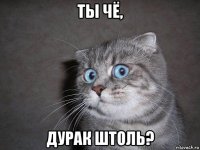 ты чё, дурак штоль?