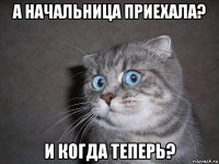 а начальница приехала? и когда теперь?