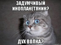 задумчивый инопланетянин? дух волка?