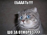 ебааать!!!! шо за отмороз???