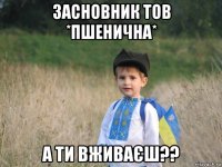 засновник тов *пшенична* а ти вживаєш??