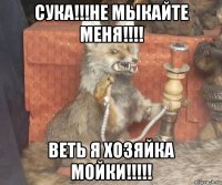 сука!!!не мыкайте меня!!!! веть я хозяйка мойки!!!!!