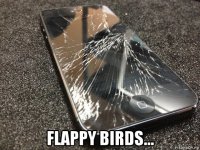  flappy birds...
