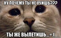 ну почему ты не учишь??? ты же вылетишь...=.(