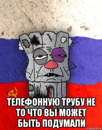  телефонную трубу не то что вы может быть подумали