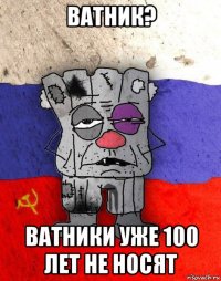 ватник? ватники уже 100 лет не носят