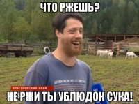 что ржешь? не ржи ты ублюдок сука!