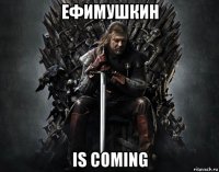 ефимушкин is coming