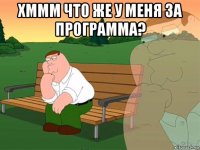 хммм что же у меня за программа? 