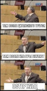 Там возле циганского трутся Там возле Ультры бухают Остер хуле