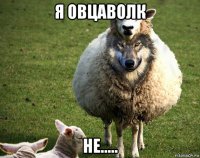 я овцаволк не.....