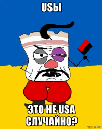 usы это не usa случайно?