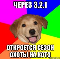 через 3,2,1 откроется сезон охоты на котэ