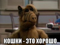  кошки - это хорошо
