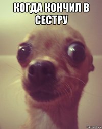 когда кончил в сестру 