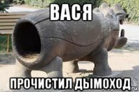 вася прочистил дымоход