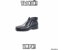 ты хуй! умри!