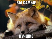 вы самые лучшие