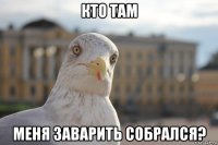 кто там меня заварить собрался?