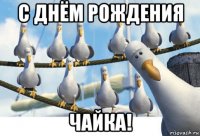 с днём рождения чайка!
