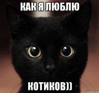 как я люблю котиков))