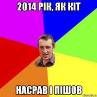 2014 рік, як кіт насрав і пішов