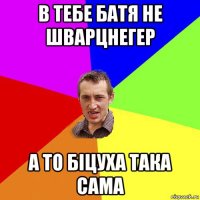 в тебе батя не шварцнегер а то біцуха така сама