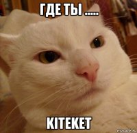 где ты ..... kiteket