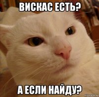 вискас есть? а если найду?