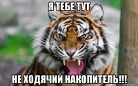 я тебе тут не ходячий накопитель!!!