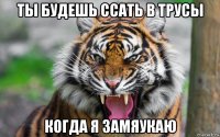 ты будешь ссать в трусы когда я замяукаю