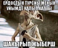 ердостын турсйы менын уйымде калып капты шакырып жыберш