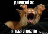 дорогой яс я тебя люблю