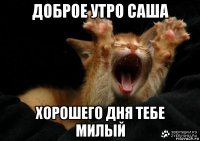 доброе утро саша хорошего дня тебе милый