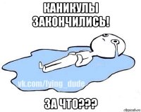 каникулы закончились! за что???