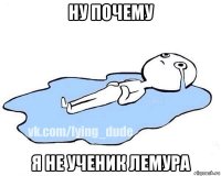 ну почему я не ученик лемура