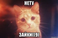 нету зайки((9(