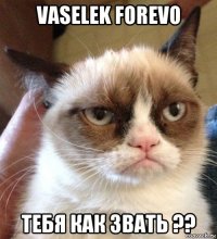 vaselek forevo тебя как звать ??