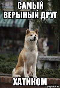 самый верыный друг хатиком