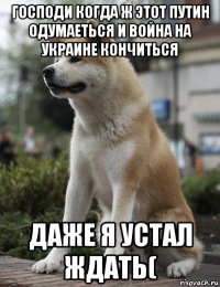 господи когда ж этот путин одумаеться и война на украине кончиться даже я устал ждать(