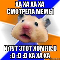 ха ха ха ха смотрела мемы и тут этот хомяк:d :d :d :d ха ха ха