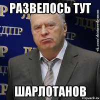 развелось тут шарлотанов