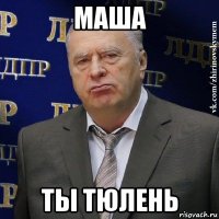 маша ты тюлень