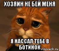 хозяин не бей меня я нассал тебе в ботинок