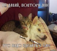 ну давай, повтори мне Что надо сделать с СМС