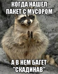 когда нашел пакет с мусором а в нем багет "скадинав"