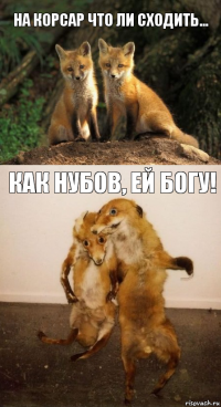 На корсар что ли сходить... Как нубов, ей богу!