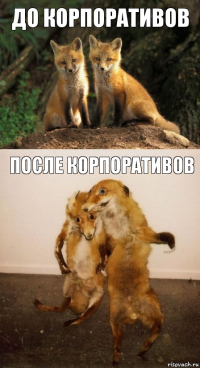 До корпоративов После корпоративов